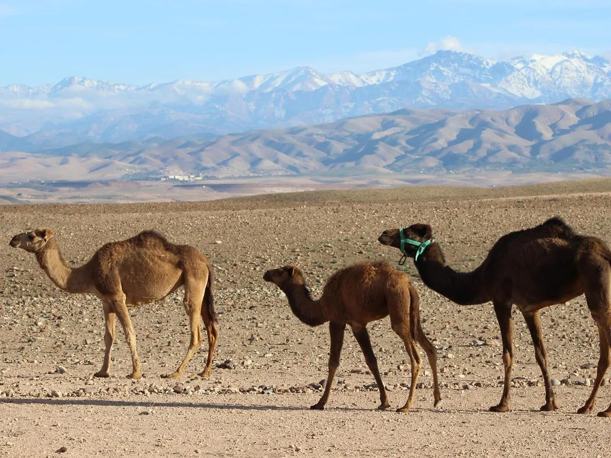 Nkhila Lodge Marrakesh