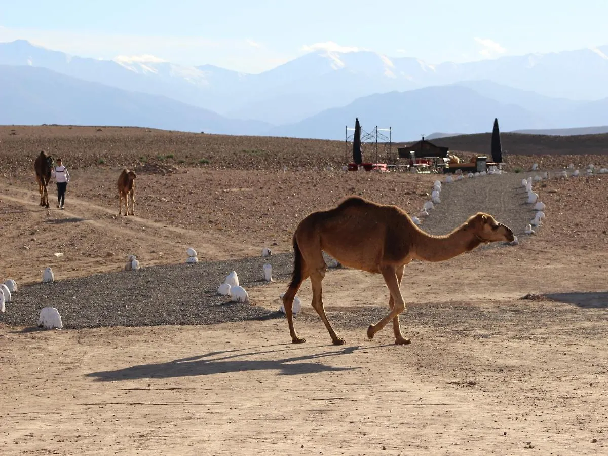 Nkhila Lodge Marrakesh 0*,